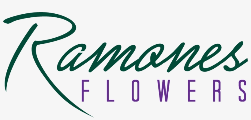 Wilmington, De Florist - Verano De Ensueo: Romance Juvenil Con El Vecino De, transparent png