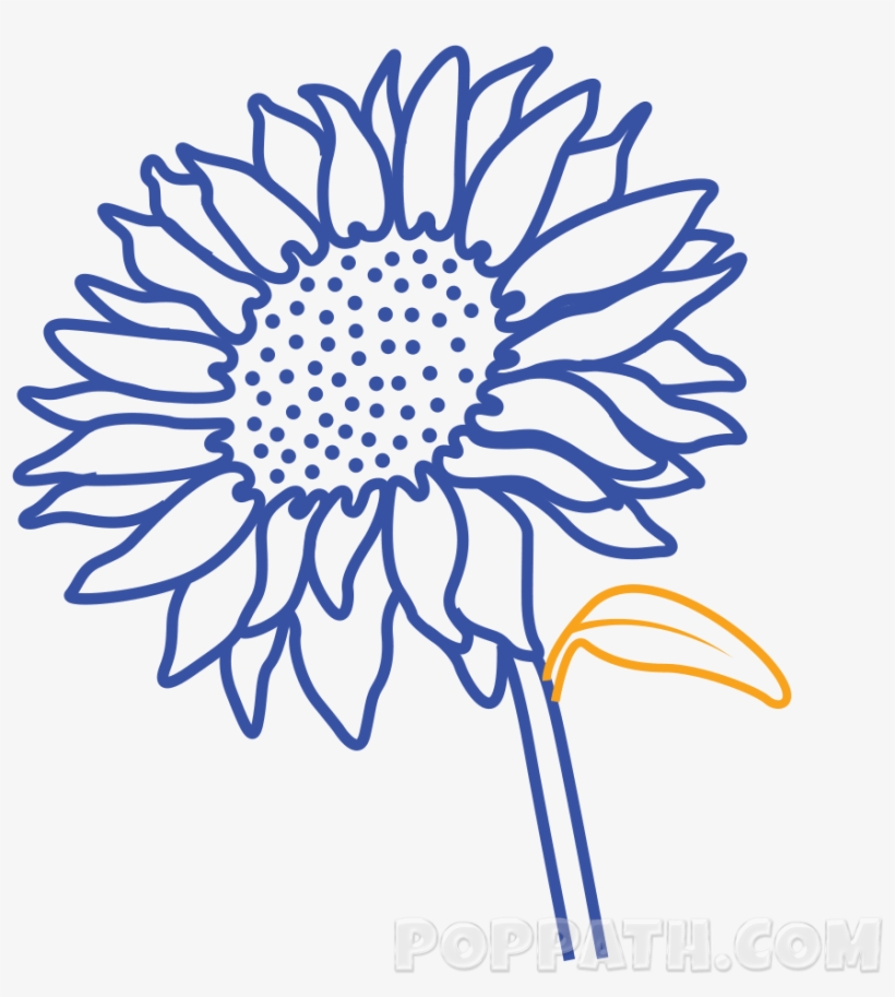 Attach A Leaf To It - Common Sunflower, transparent png