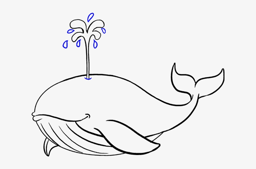 How To Draw Whale Blue Whales To Draw 678x600 Png Download Pngkit
