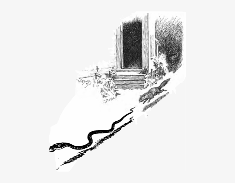 Jungle Book P230c - Rikki Tikki Tavi, transparent png