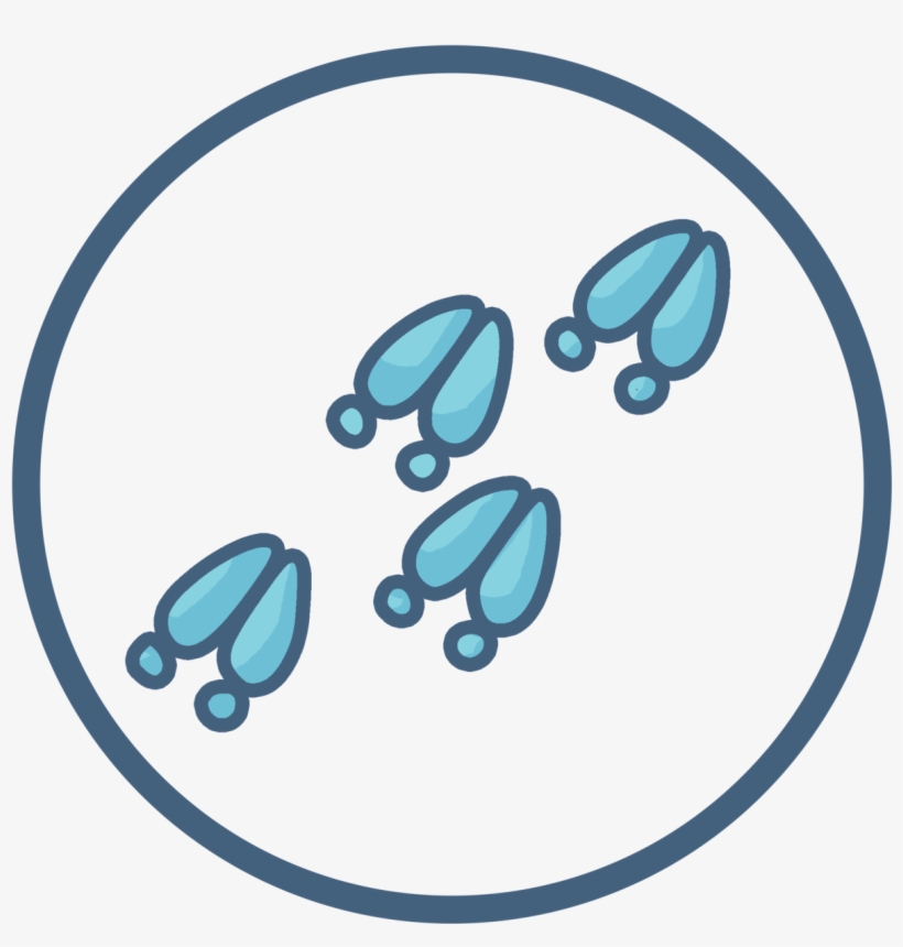 Symbol, transparent png