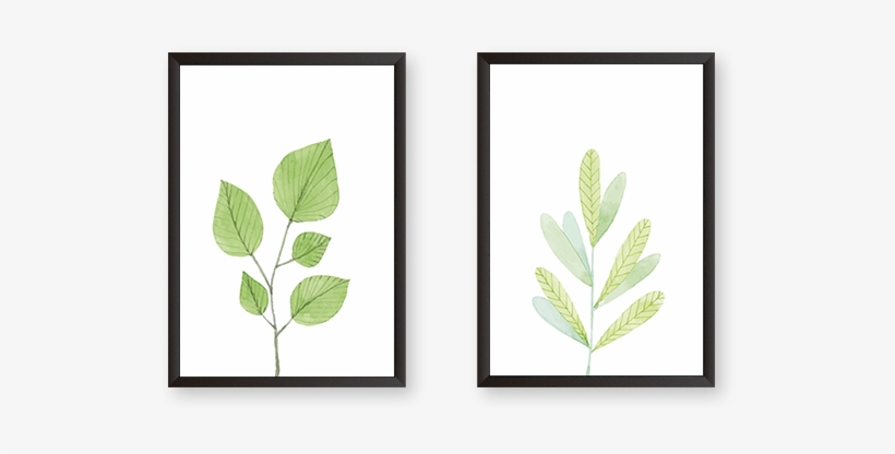 Leaves - Arizona, transparent png