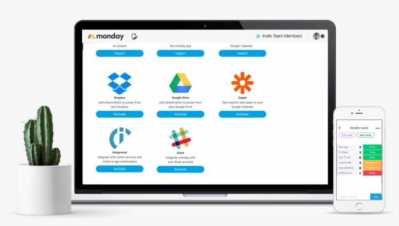 Board With Cactus And Phone2 - News, transparent png