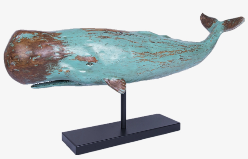 Large Sperm Whale With Base, Batela Uk - Batela Nautical Large Sperm Whale Model, transparent png