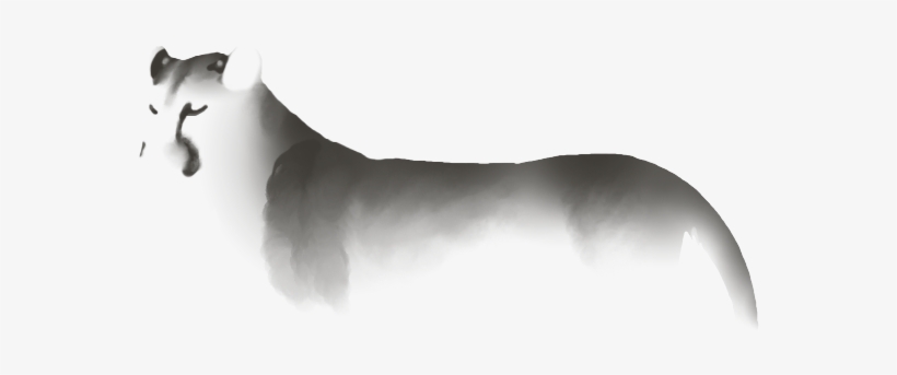 Dall's Sheep, transparent png