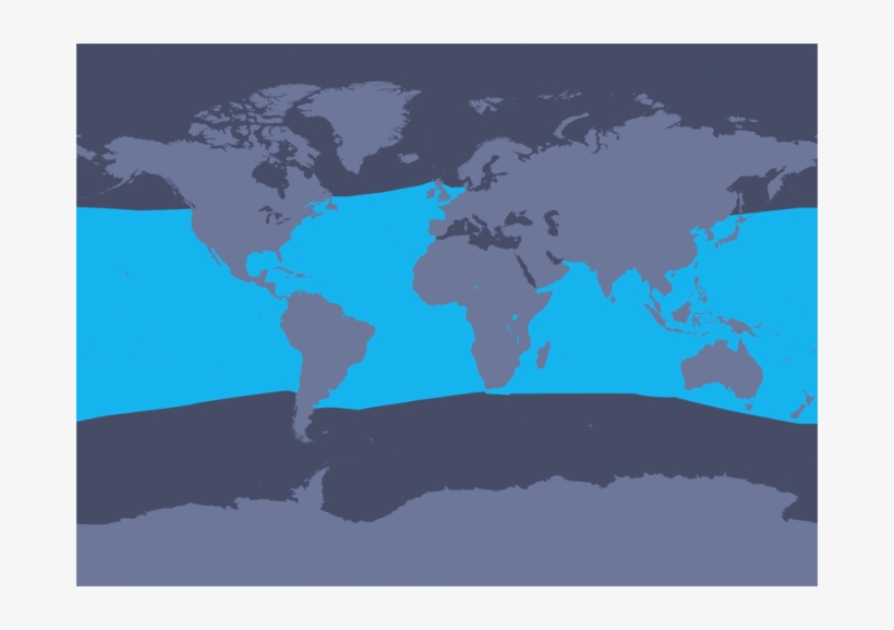 Distribution Map - - Pygmy Sperm Whale Distribution, transparent png