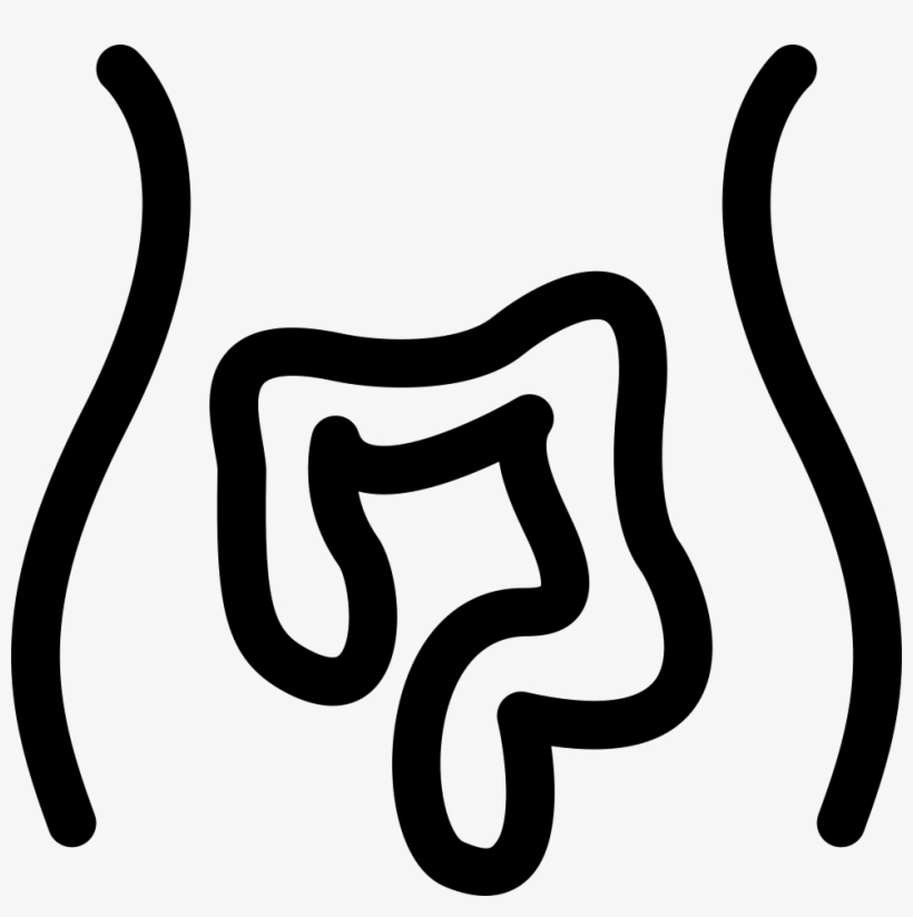 Intestines Comments - Boş Verme Oy Ver, transparent png