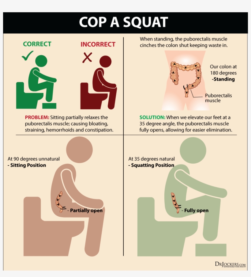 Are You Nourishing Your Body With A Healthy Intake Best Poop Position
