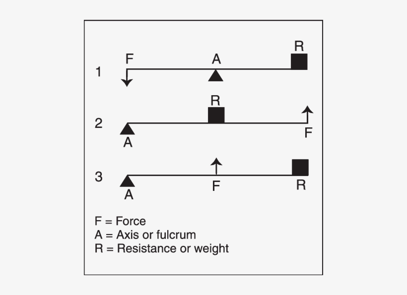 Lever Classes - - Science, transparent png