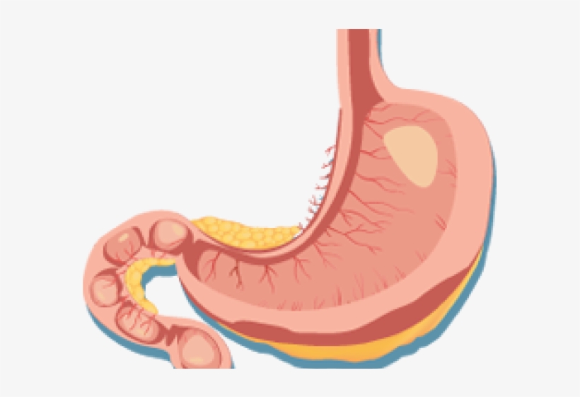 Illustration, transparent png