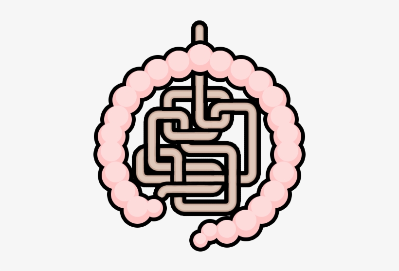 Intestines - Christmas, transparent png