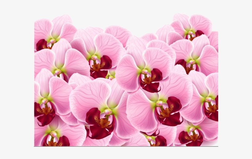 Vintage Paris, Vector Background, Shabby Chic, Flower - Открытка С Днем Рождения Изабелла, transparent png