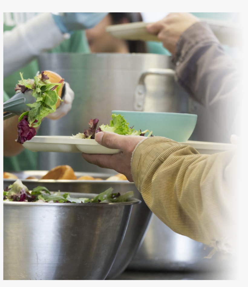 The Lord's Gift House Is Our “mission Field” To Reach - Volunteering, transparent png