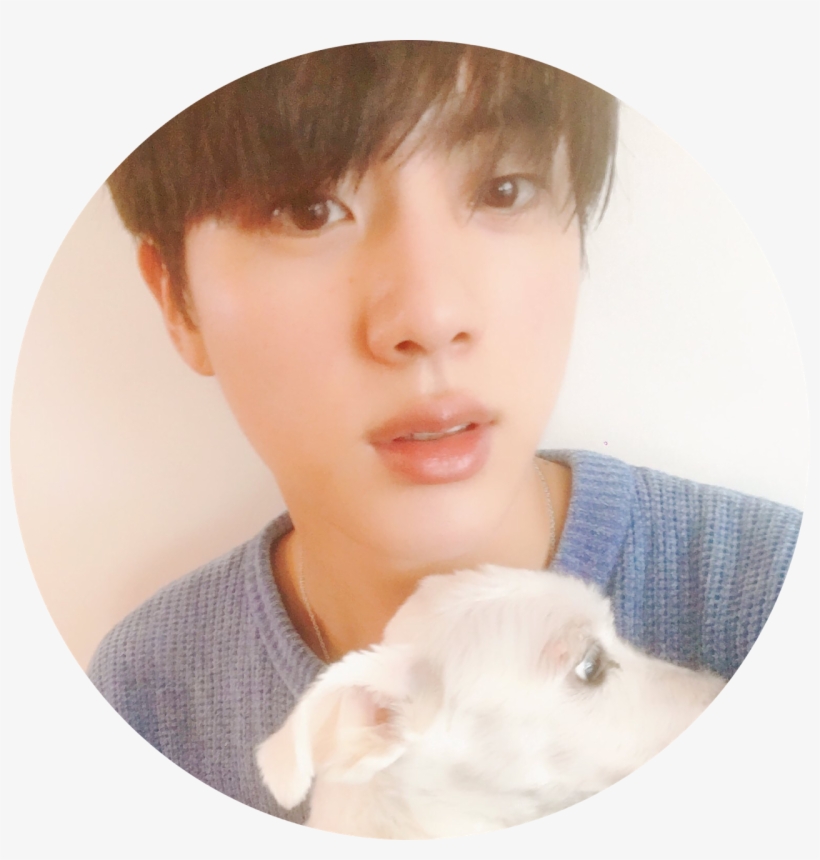 Jin Bts Tumblr - Bts Jin And Jjanggu, transparent png