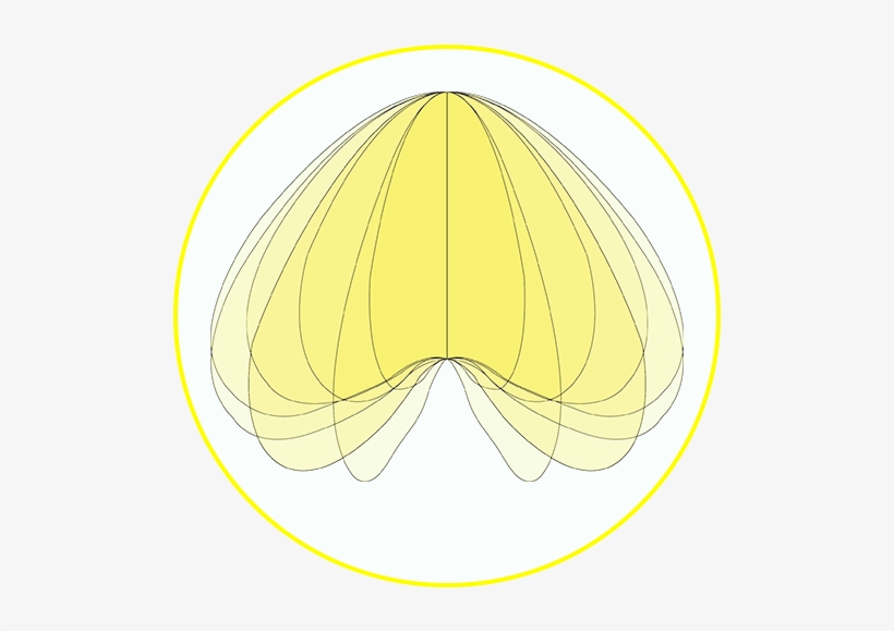 Loop Batwing Detail - Circle, transparent png