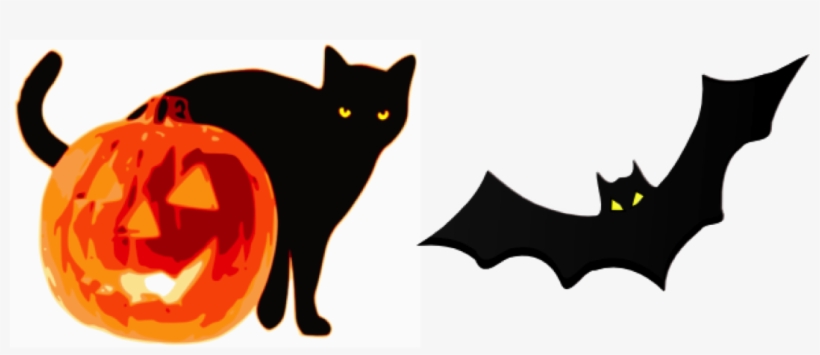 Whiskers And Wings - Jack O Lantern Png, transparent png