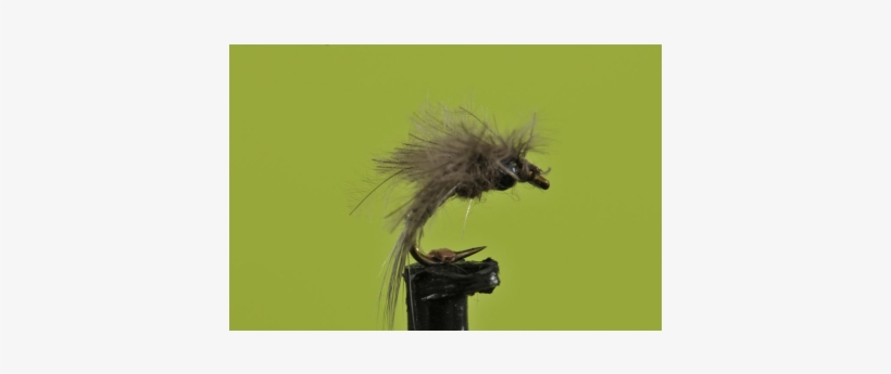 Bwo Batwing Emerger - House Fly, transparent png