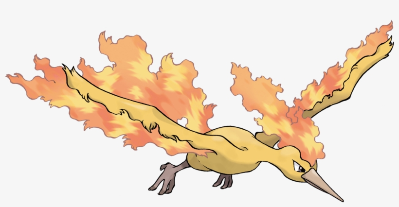 Aka Bird Rapidash - Pokemon Moltres Moves, transparent png