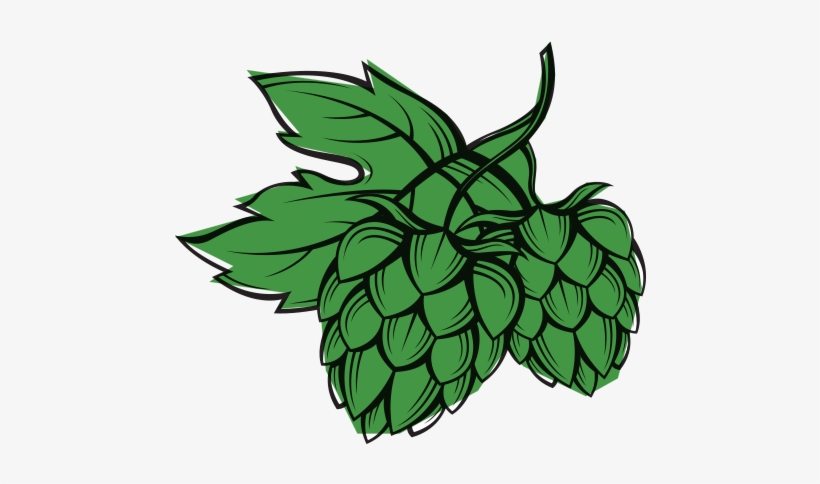 Mayfield Gin Botanical Sussex Hop - Common Hop, transparent png