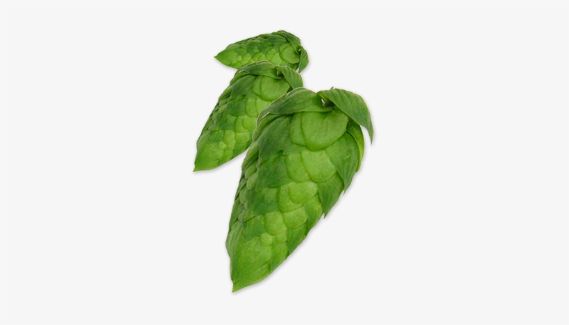 Hop-cascade - Cascade Hop, transparent png