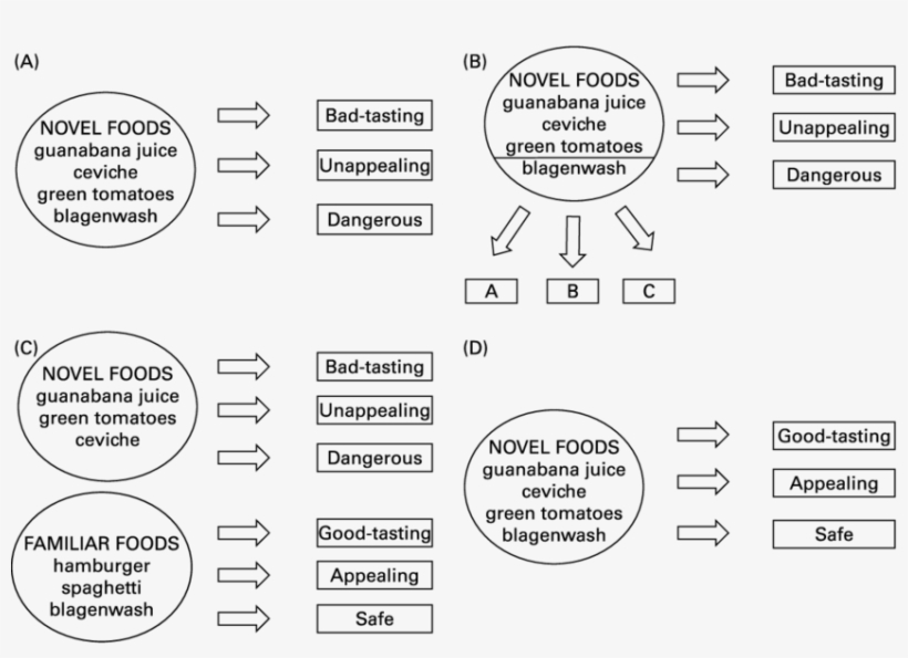 Representation Of A Novel Food Schema, (b) A Food For - Novel Foods, transparent png