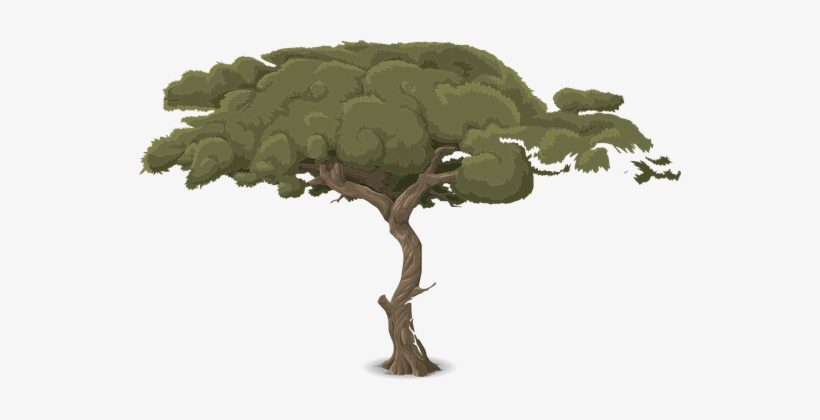 Tree Trunk Nature Leaves Design Creative B - Pohon Animasi Format Png, transparent png