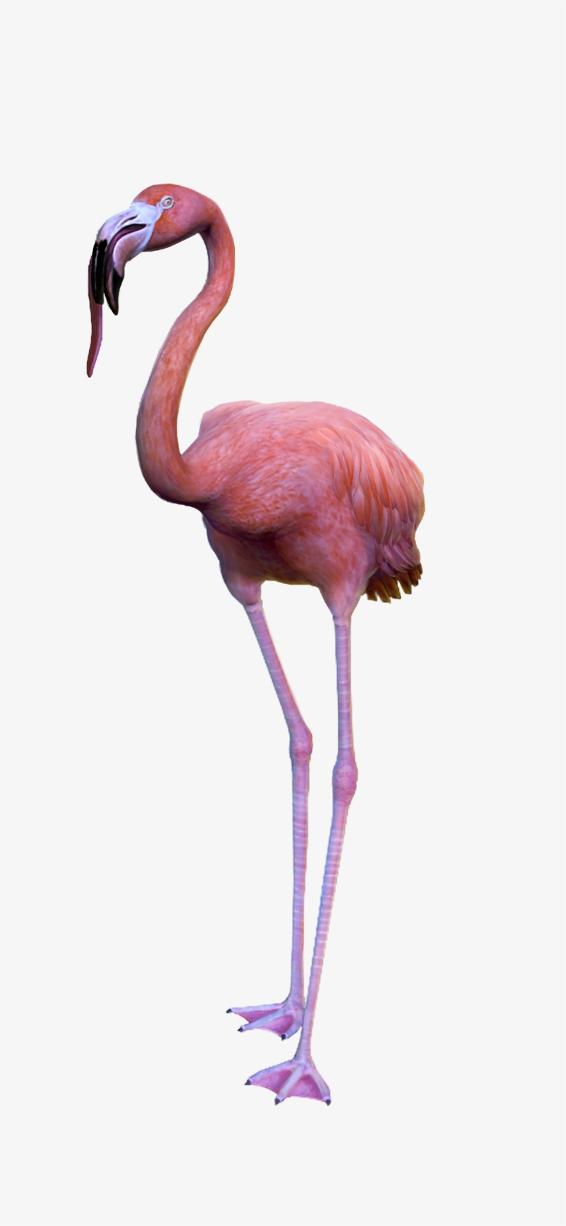 Valentino Salami Is One Badass Ostrich, Chicken, Or - Goat Simulator Payday Costume, transparent png