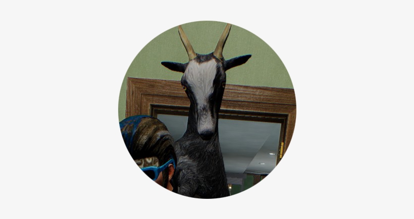 Either Way Is Fine In Itself, But It Was My Personal - Goat, transparent png