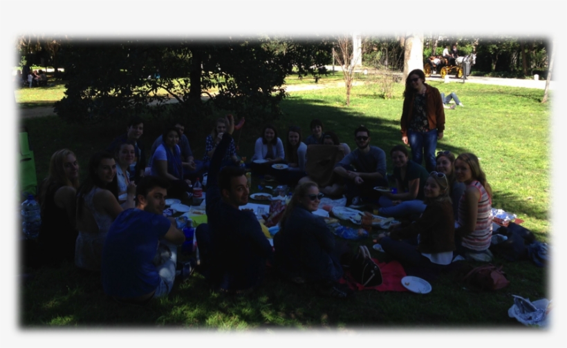 A Picnic Day At The María Luisa Park - Park, transparent png