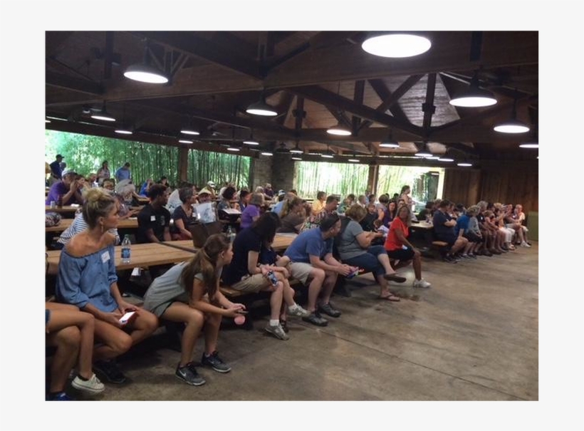 Family Zoo Picnic - Crowd, transparent png