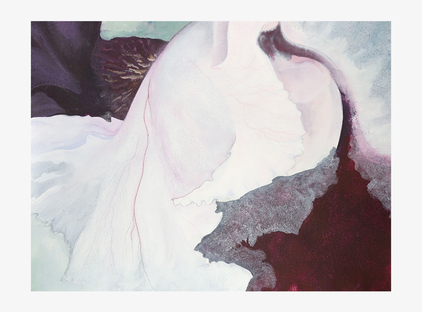 Buy Aralen - Still Life, transparent png