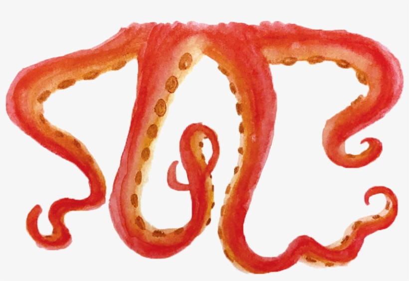 By Melinda Lewis - Octopus, transparent png