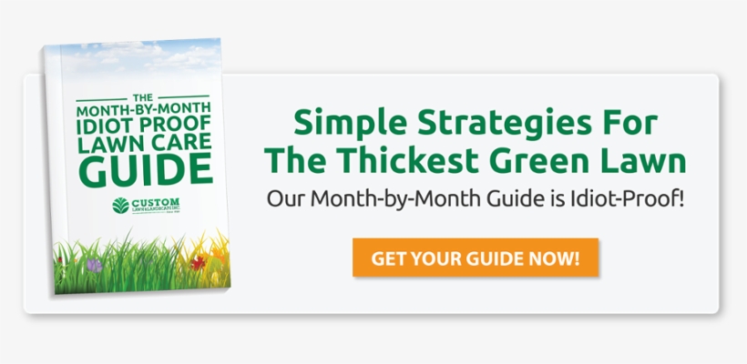 Free Month By Month Lawn Care Guide - Lawn, transparent png