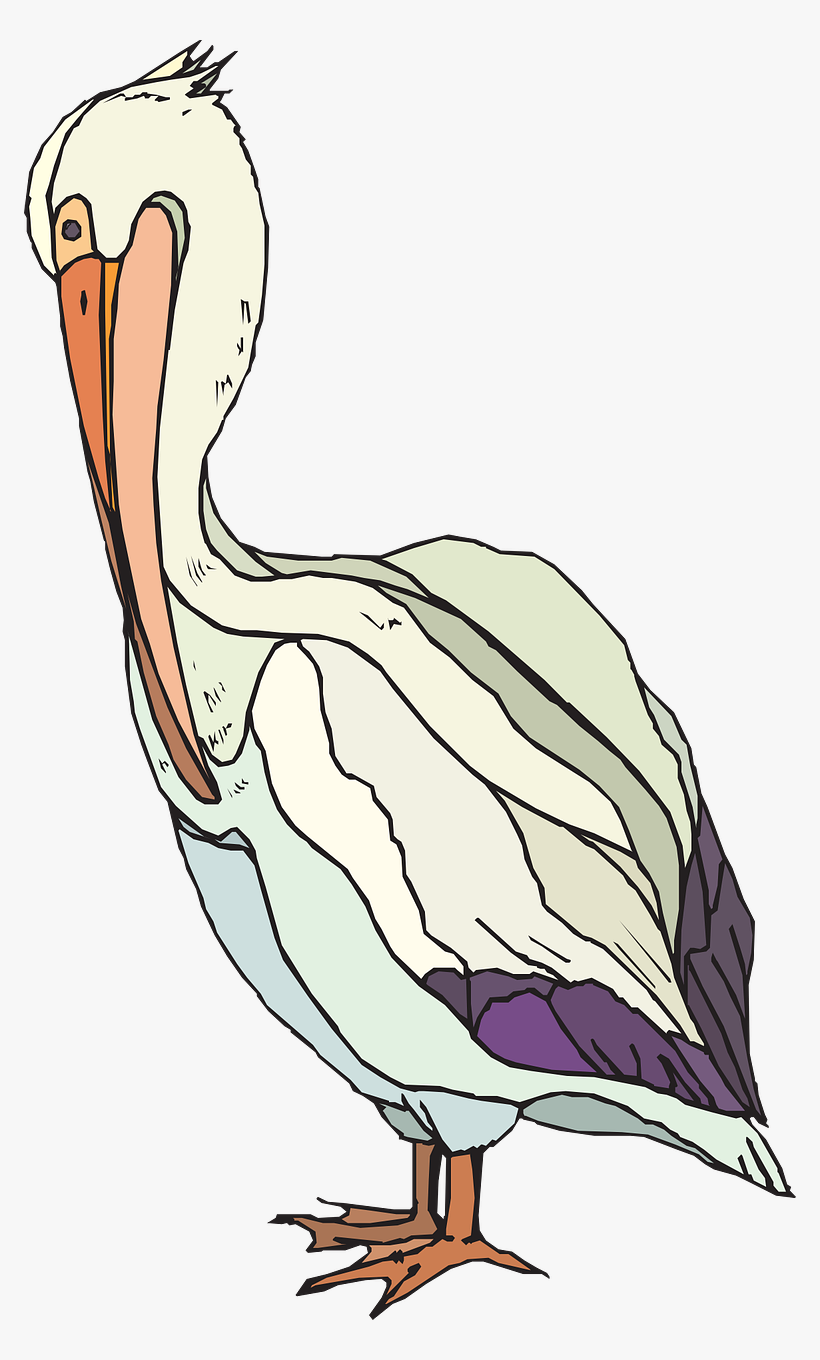 Pelican With Colorful Feathers Svg Clip Arts 360 X, transparent png