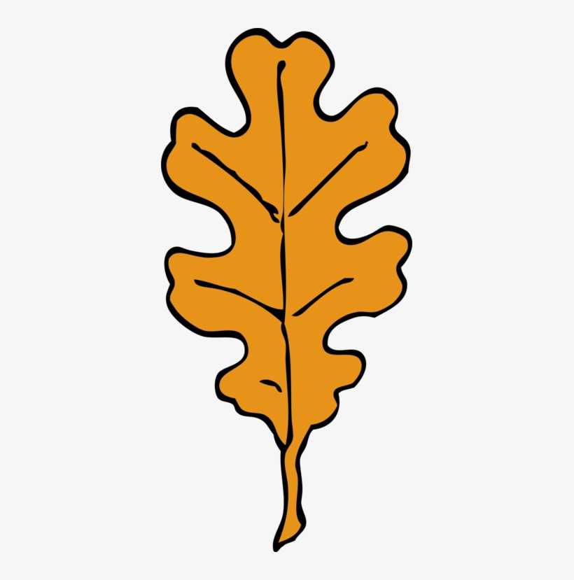 Leaf Northern Red Oak White Oak Acorn Tree Free Commercial - Oak Leaf Clipart, transparent png