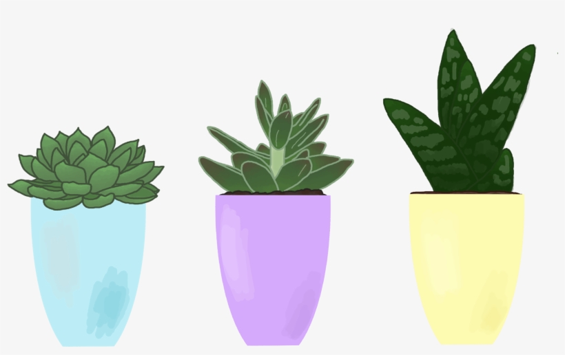 Succulent Stickers - Succulent Plant, transparent png