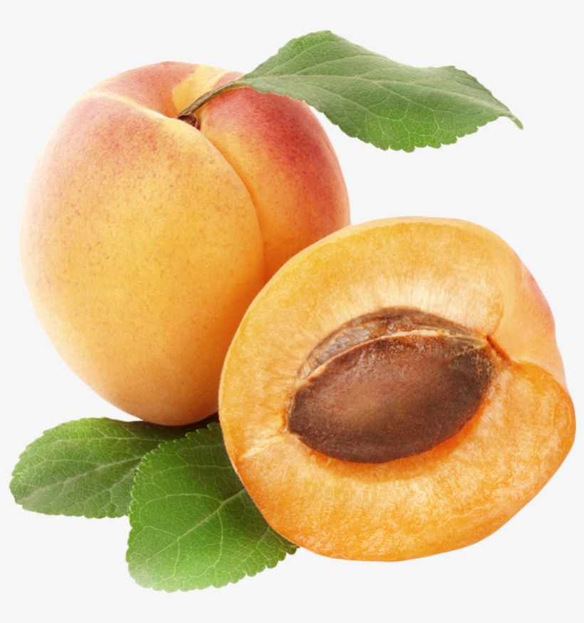 Apricots Png Clipart Best Web Clipart - Rex Orange County Apricot, transparent png
