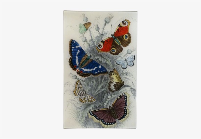Dancing Butterflies Dancing Butterflies - Illustration Vintage Butterflies, transparent png