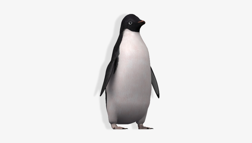 Adopt A Penguin - Adelie Penguin Png, transparent png