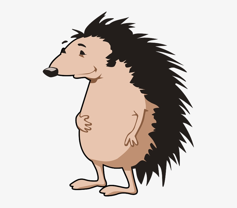 Hedgehog, Animal, Spikes, Mammal, Cartoon, Happy, transparent png