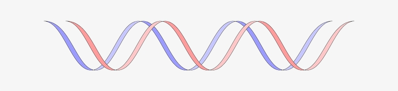 Dna, Gene, Genetics, Molecule, Science, Helix - Genetics, transparent png