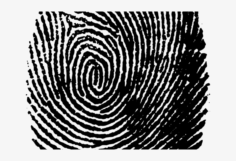 Fingerprint Png Transparent Images - Huellas Dactilares Fondo Transparente, transparent png