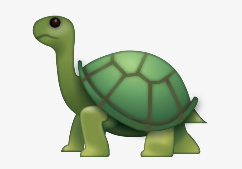 Turtle, transparent png