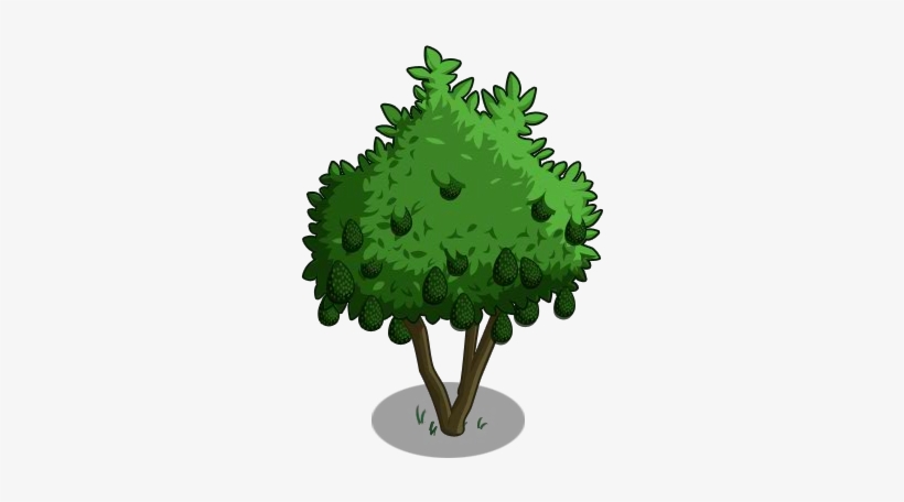 Avocado Tree 100-icon - Farmville, transparent png