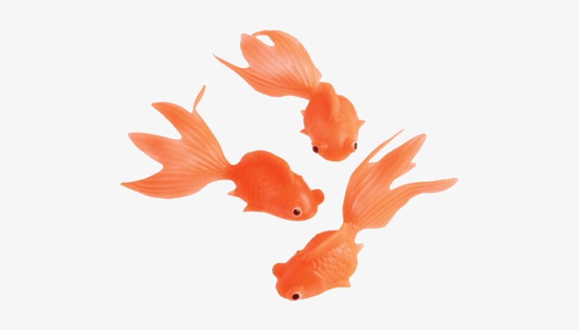 Stretchy Goldfish - Goldfish, transparent png