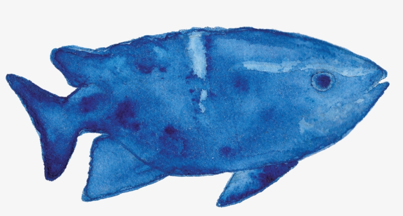 Creatures - Wrasses, transparent png