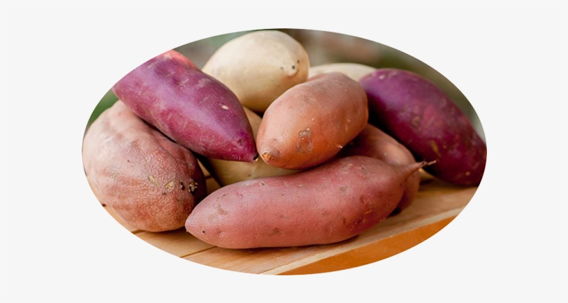 What's The Difference Between A Sweet Potato And A - Purple Transparent Sweet Potato, transparent png