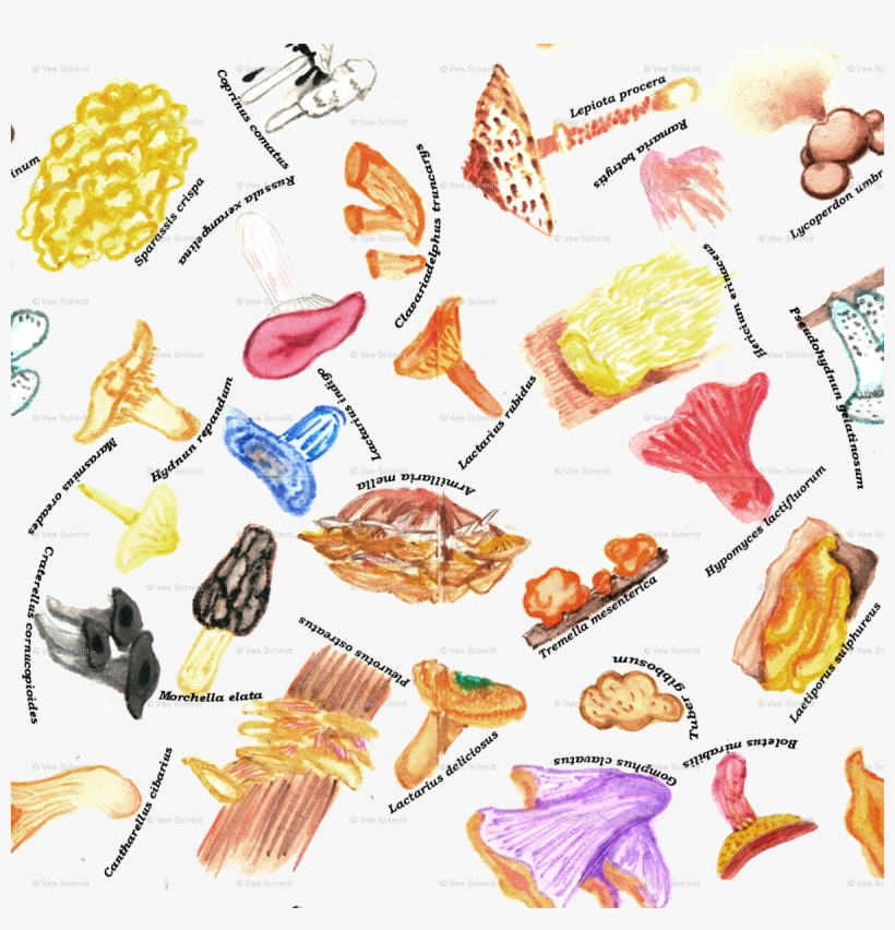 Textile, transparent png