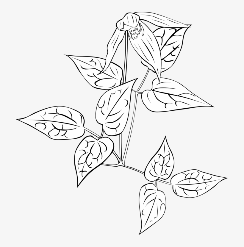 Computer Icons Download Visual Arts Flower Free Commercial - Gambar Bunga Untuk Di Gambar Di Buku Gambar, transparent png