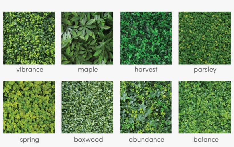 Due To The Flexibility Of The Product, They Can Be - Artificial Vertical Green Wall, transparent png